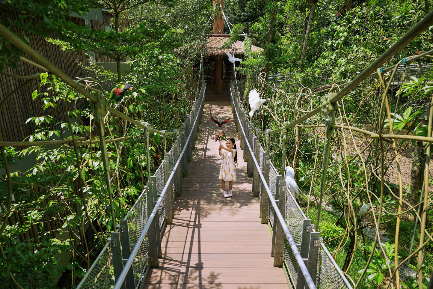Bird Paradise (Non-Guided Tour)
