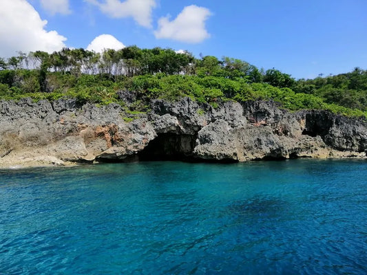 Carabao Island Joiner Tour