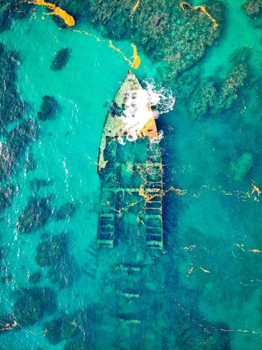 Coron Reef & Wrecks Private Tour
