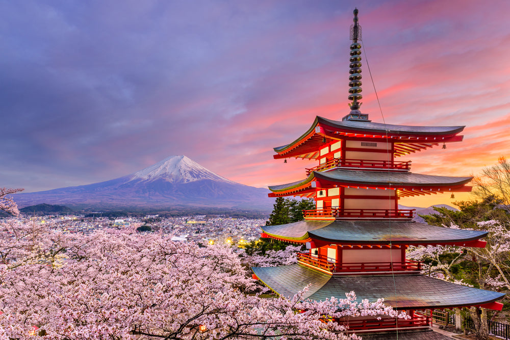 Mt. Fuji View & Gotemba Premium Outlets Day Tour