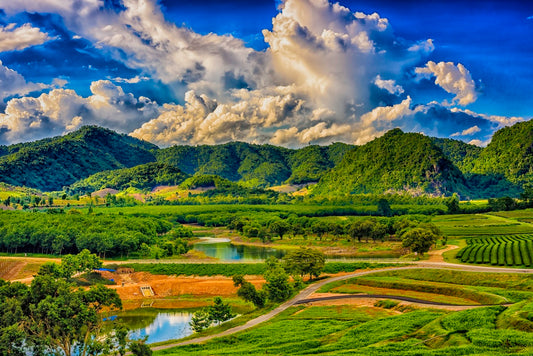 Mai Chau 1 Day Tour