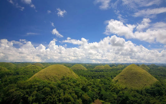 Bohol Countryside Tour Private