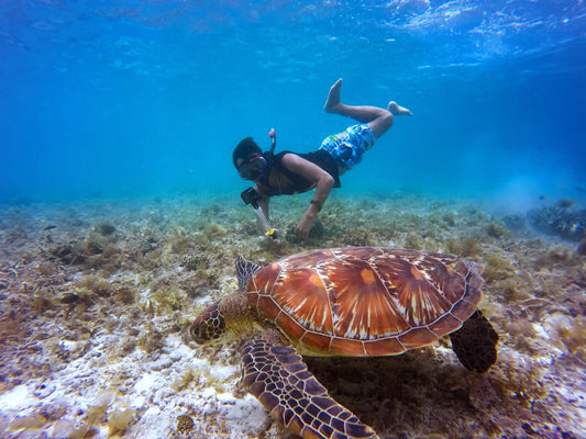 Coron Reef & Wrecks Private Tour
