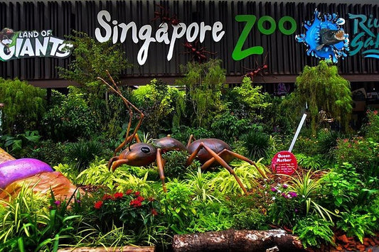Singapore Zoo with Jungle Breakfast