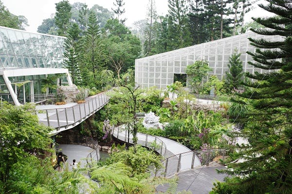 City Experience with National Orchid Garden (Guided)