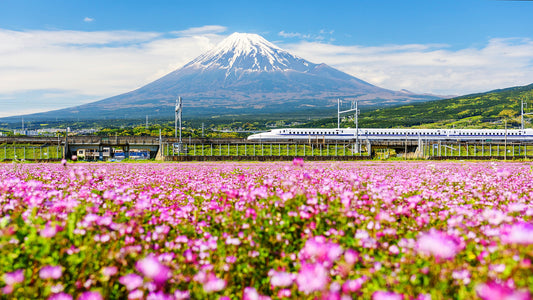 1‑Day Mt. Fuji & Hakone Tour (Return by Shinkansen, Including Lunch)