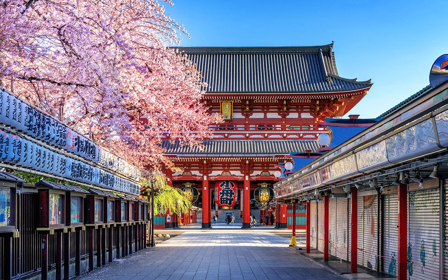 The Best Time to Visit Tokyo and Osaka in 2025