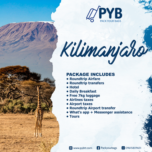🏔️ Kilimanjaro Adventure: Where Africa Touches the Sky 🏔️