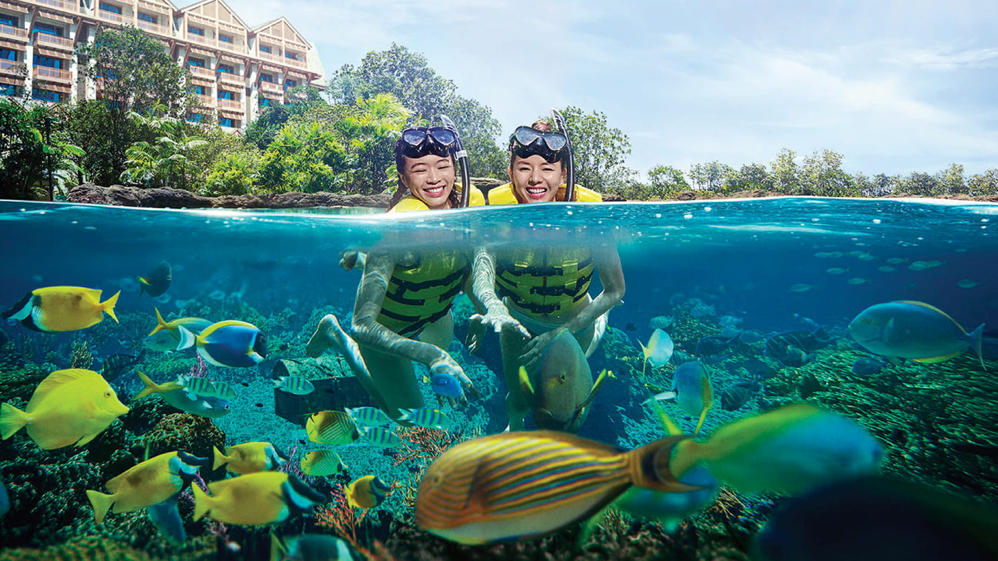 Adventure Cove Waterpark Tour (Non-Guided) with Shared Transfer