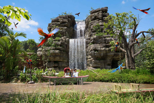 Bird Paradise (Non-Guided Tour)
