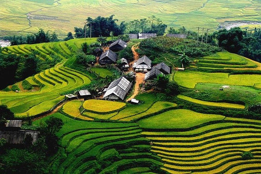 Enchanting Sapa Getaway: 2 Days 1 Night Tour from Hanoi