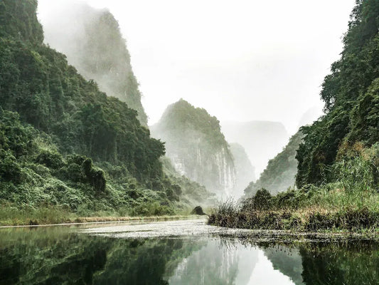 NINH BINH BAI DINH TRANG AN 1 DAY TRIP