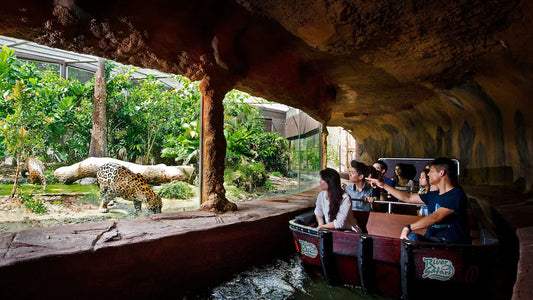 River Wonders + Night Safari Combo Tour (Non-Guided Tour)