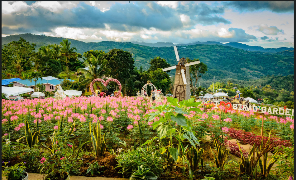 Cebu City Tour Joiner