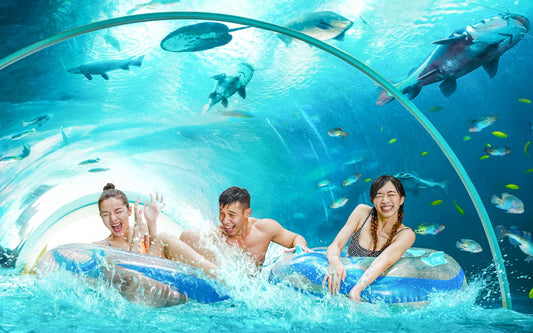 Adventure Cove Waterpark Tour (Non-Guided) with Shared Transfer
