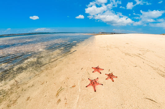 Puerto Princesa Honda Bay Tour Joiner