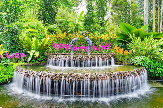 City Experience with National Orchid Garden (Guided)