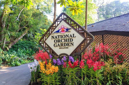 City Experience with National Orchid Garden (Guided)