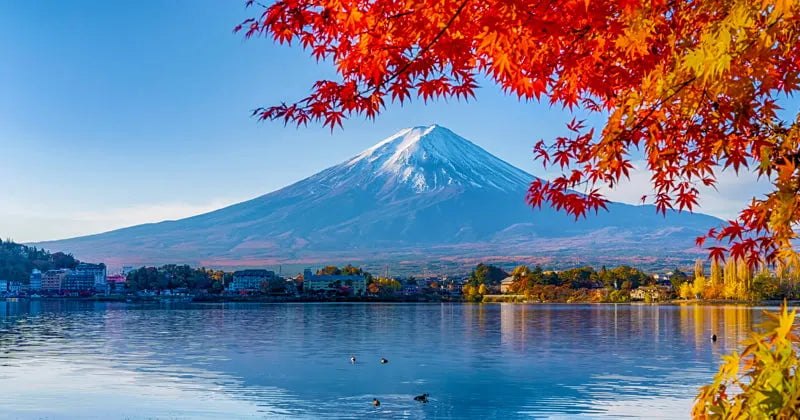 Mt. Fuji View & Gotemba Premium Outlets Day Tour