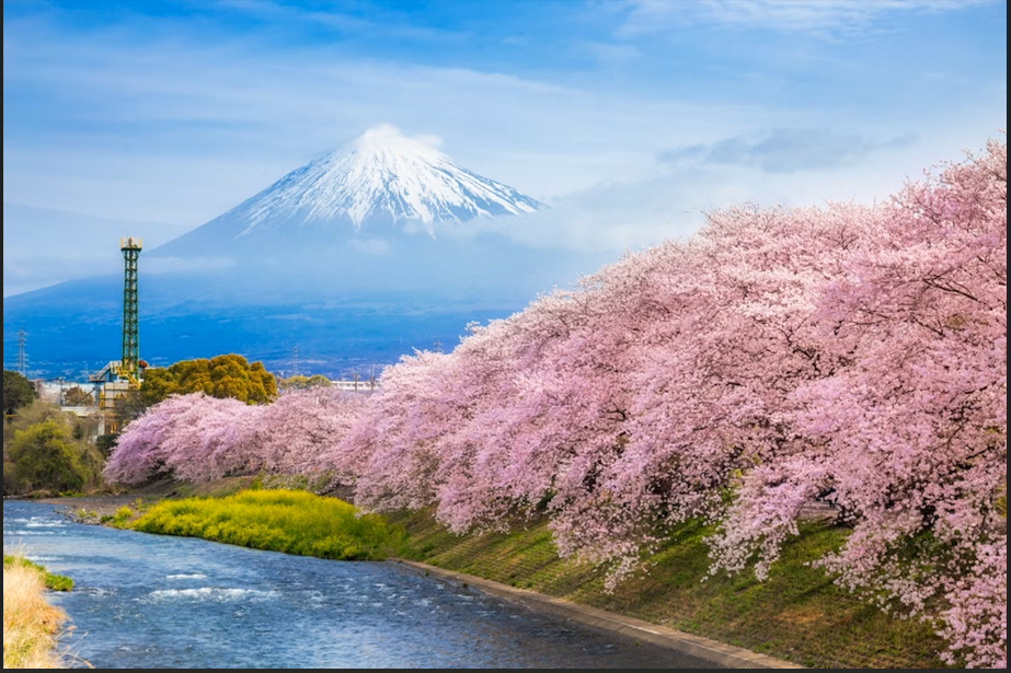 Mt. Fuji Scenic Views, Seasonal Fruit Picking & Ropeway Experience